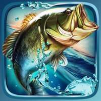 钓鱼微信头像图片大全