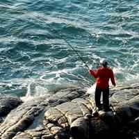 钓鱼微信头像图片大全