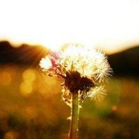 黄昏头像男生背影