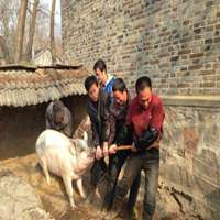 农村头像图片大全