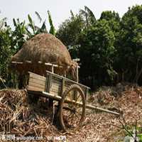 农村头像图片大全