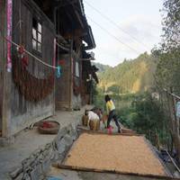 农村头像图片大全