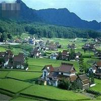 农村头像图片大全