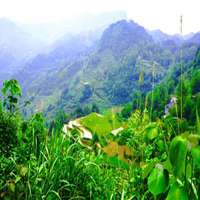 农村风土人情头像