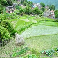 农村风土人情头像