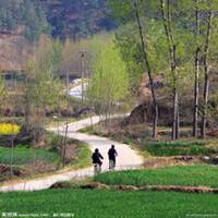农村风土人情头像