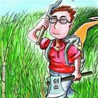 农村风土人情头像