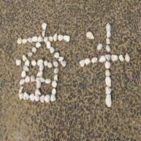 努力学习中头像