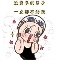 卖车头像搞笑图片