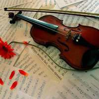 小提琴头像图片大全