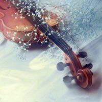 小提琴头像图片大全