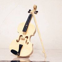 小提琴头像图片大全