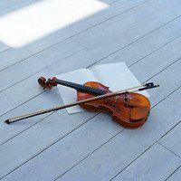小提琴头像图片大全