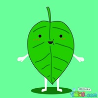 小树叶头像
