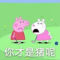 小猪佩奇社会头像