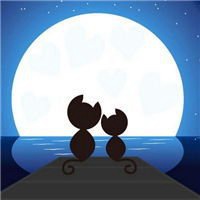 少年与猫动漫头像