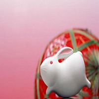 属兔用什么头像最旺财