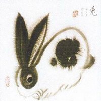 属兔用什么头像最旺财