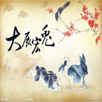 属兔用什么头像最旺财