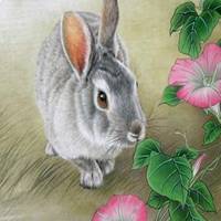 属兔用什么头像最旺财