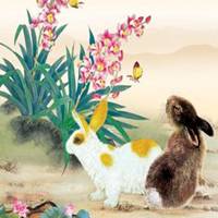 属兔用什么头像最旺财