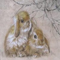 属兔用什么头像最旺财