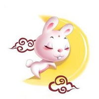 属兔的人用什么头像好