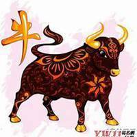属牛的用什么头像好