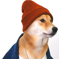 属狗本命年头像