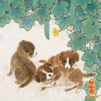 属狗用什么头像最旺财