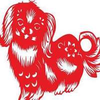 属狗用什么头像最旺财