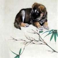 属狗用什么头像最旺财