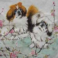 属狗的用什么头像好