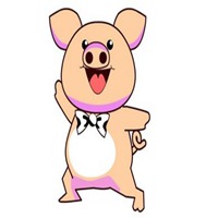 属猪用什么头像最旺财