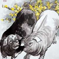 属猪用什么头像最旺财