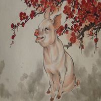 属猪用什么头像最旺财