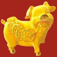 属猪用什么头像最旺财