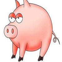 属猪用什么头像最旺财