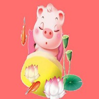 属猪用什么头像最旺财