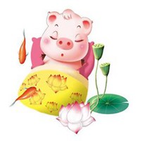 属猪用什么头像最旺财