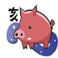 属猪用什么头像最旺财