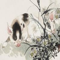 属猪用什么头像最旺财