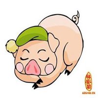 属猪的用什么头像好