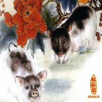 属猪的用什么头像好