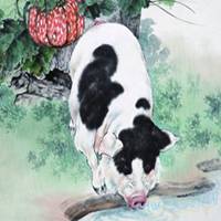 属猪的用什么头像好