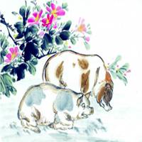 属猪的用什么头像好