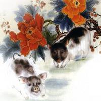 属猪的用什么头像好