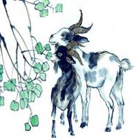 属羊好运气微信头像