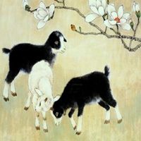 属羊用什么头像最旺财