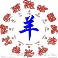 属羊用什么头像最旺财